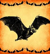 Image result for Vintage Bat 640X640