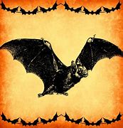 Image result for Vintage Bat Illustration