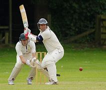 Image result for Random Stock Images of Cricket