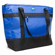 Image result for Insulated Tote Bags