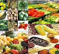 Image result for Agricultural Goods