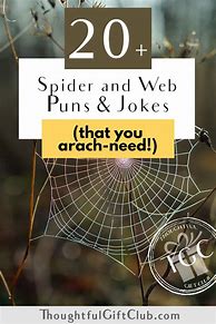 Image result for Funny Spider Quotes