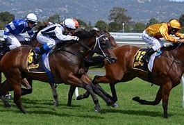Image result for Horse Racing Imaiges