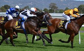 Image result for Jockey Riding a Horse