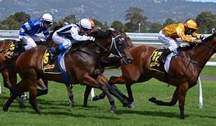 Image result for Picture of Horse with Jockey Racing