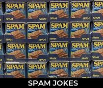 Image result for Spam Humor
