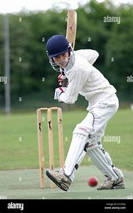 Image result for Batting in Cricket