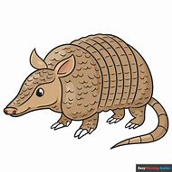 Image result for Armadillo Drawing Easy