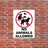 Image result for No Animals Sign