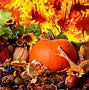 Image result for Fall Pumpkin Wallpaper