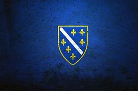 Image result for Bosnian Emblem