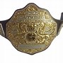 Image result for Wrestling Belt Custom Front Plastic