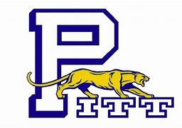 Image result for Uni Panthers Logo.png