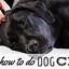 Image result for Animal CPR Chart