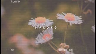 Image result for VHS Nature Aesthetic