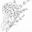 Image result for Hard Flower Coloring Pages for Adults