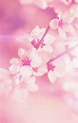 Image result for Pretty Pale Pink Background