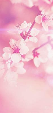 Image result for iPhone 7 Pink Wallpaper