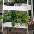 Image result for Planter Stand