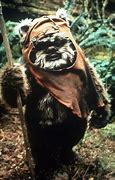 Image result for Wicket Warrick