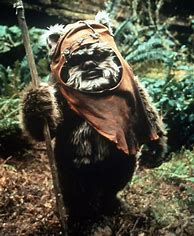 Image result for Wicket W. Warrick