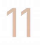 Image result for iOS 11 Logo