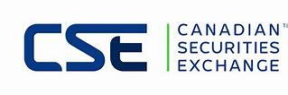 Image result for CSE Canada Logo