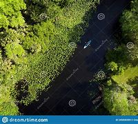 Image result for Wekiva River Aerial