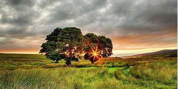Image result for Irish Countryside Wallpaper Free