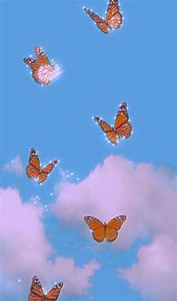 Image result for Butterfly Wallpaper Tumblr