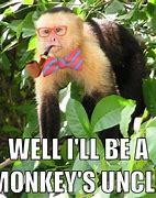Image result for Sus Monkey Meme