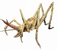 Image result for Cave Cricket Fallout 76
