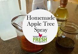 Image result for Best Insect Spray for Apple Trees