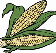 Image result for Corn Removal Knife