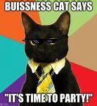 Image result for Business Cat Meme Deadline