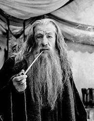 Image result for Gandalf Actor