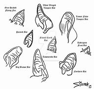 Image result for Bat Ears Drawing