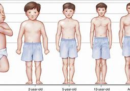 Image result for Body Growth and Development