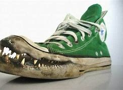 Image result for Unusual Shoes