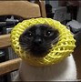 Image result for Sad Cat Thumbs Up