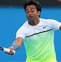 Image result for Indian Tennis Player