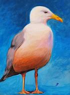 Image result for Seagull Paintings Canvas