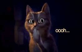 Image result for Ohhh Cat Meme