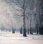 Image result for Snowing Screensaver Free