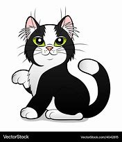 Image result for Black and White Cat Meme