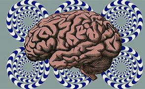 Image result for cerebro