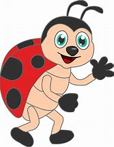 Image result for A Ladybug Cartoon