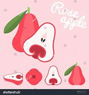 Image result for Rose Apple Clip Art