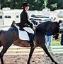 Image result for Dressage Arena Letters Cones