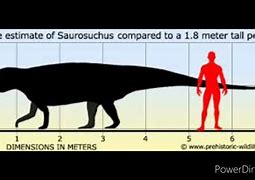 Image result for Saurosuchus vs Postosuchus